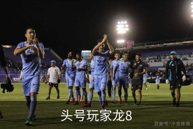 头号玩家龙8公司简介展示图